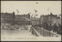 Lyon. Les mouettes au pont Lafayette.