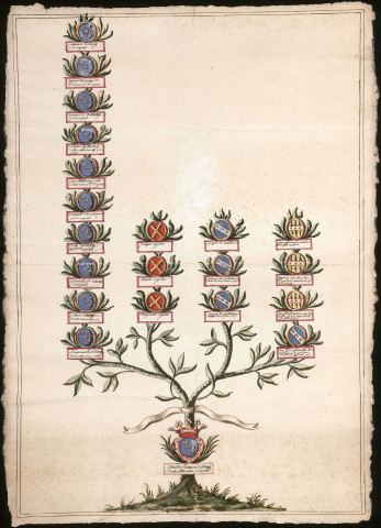 Généalogie des ancêtres de Claude-François d'Harenc de la Condamine.