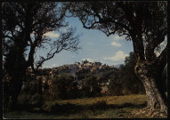 Le vieux village à travers les oliviers de Renoir.