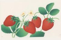 Fraises et fraisier en fleur.