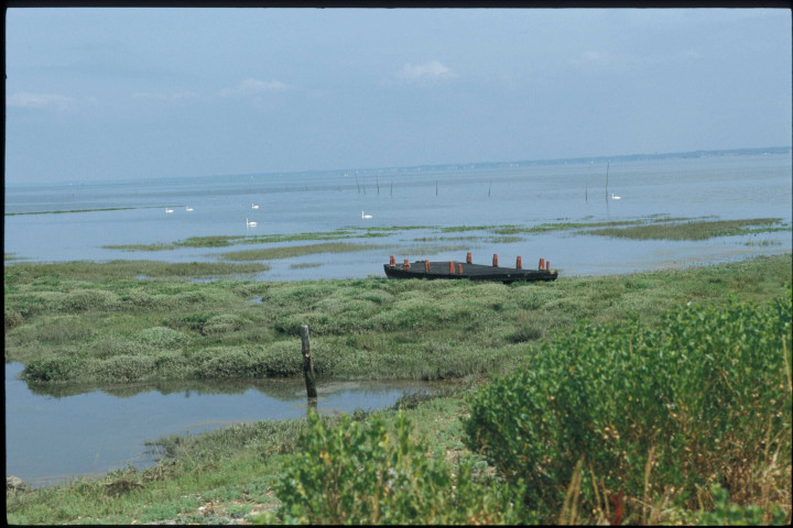 Gujan-Mestras (juin 2006).