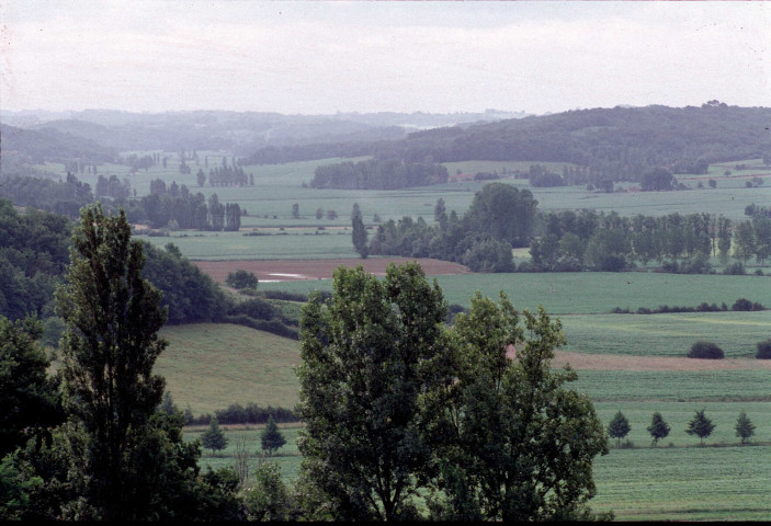 Lot-et-Garonne. Armagnac (juin 1993).