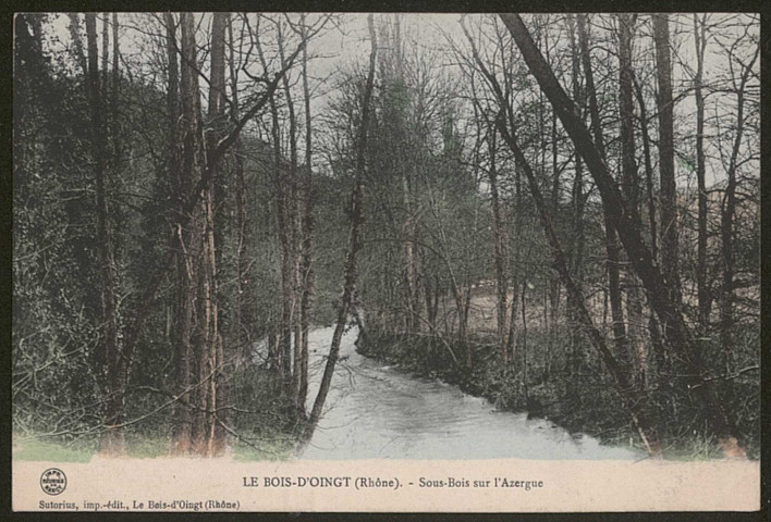 Le Bois-d'Oingt. Sous-bois sur l'Azergues.