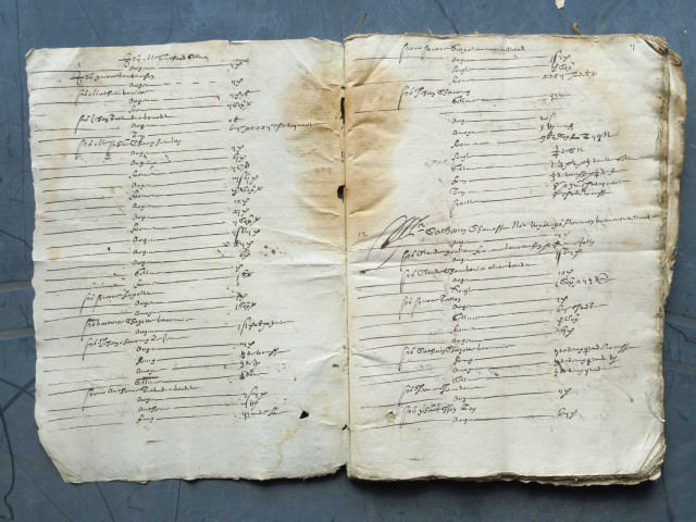 Liève de recette des rentes nobles de Monsieur le baron de Riverie tenue par Maître Pierre Begulle, son fermier.