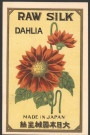 Dahlia.
