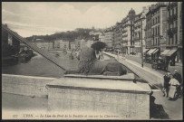 Lyon. Le lion du pont de la Feuillée et vue sur les Chartreux.