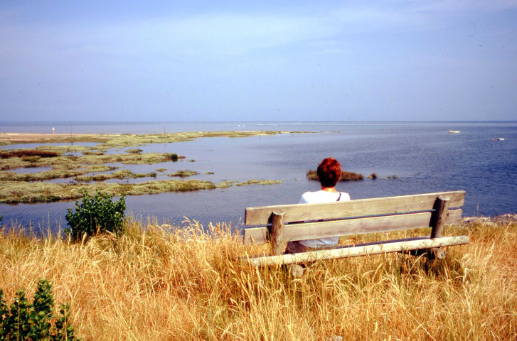 Scènes de vie (septembre 1999, septembre 2000, juin-juillet 2003, juillet 2005).