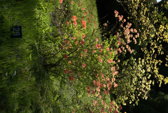 Images numériques (juillet 1980, mars 1990, septembre 2004, juin 2006).