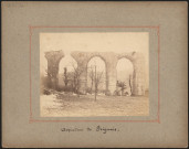 Aqueducs de Brignais.