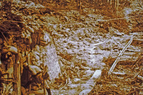 Aux abords de Douaumont.