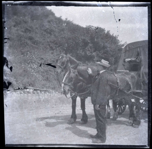 En compagnie d'animaux.