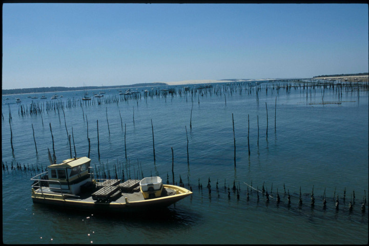 Cap-Ferret (juin 2006).