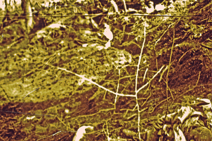 Éparges, après l'assaut du 27 mars.