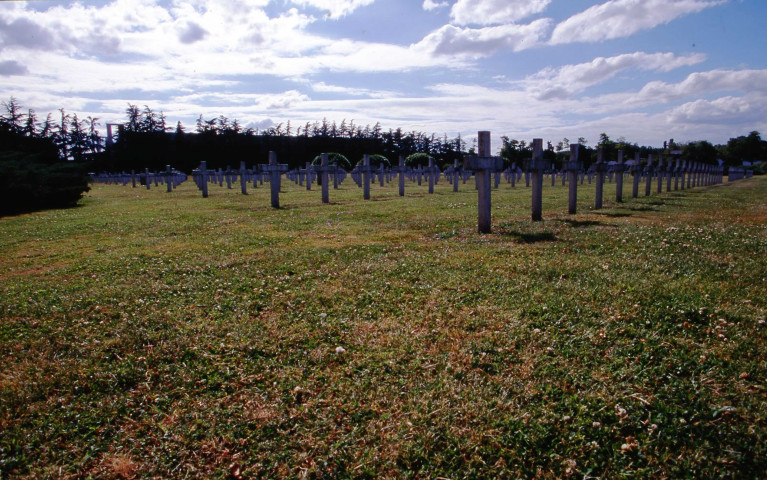 Végétal (juin-juillet 2000).