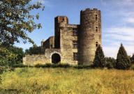 Saint-Pierre-de-Chandieu. Le château de Chandieu.