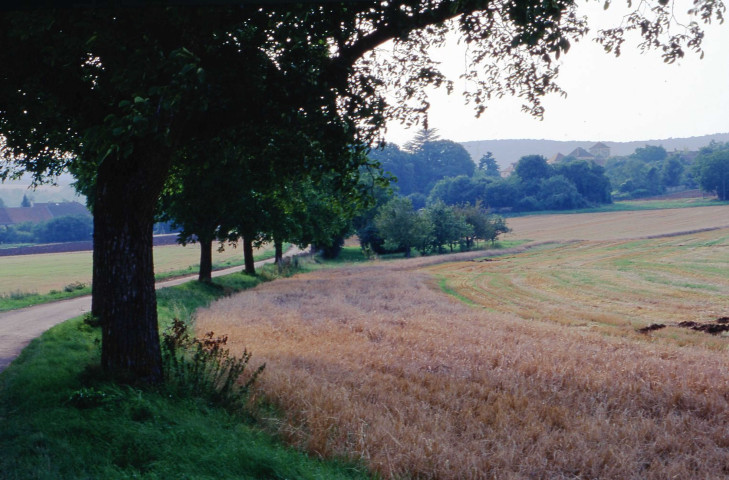 Campagnes (août-novembre 1999, août 2000).
