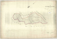 Section C dite des Ronzières, feuille unique : copie modifiée du plan napoléonien.
