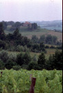 Lot-et-Garonne. Armagnac (juin 1993).
