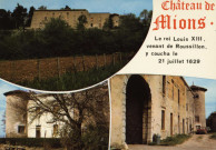 Mions. Château de Mions.