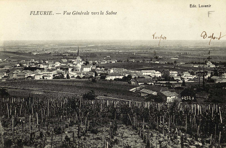 Fleurie. Vue générale vers la Saône.