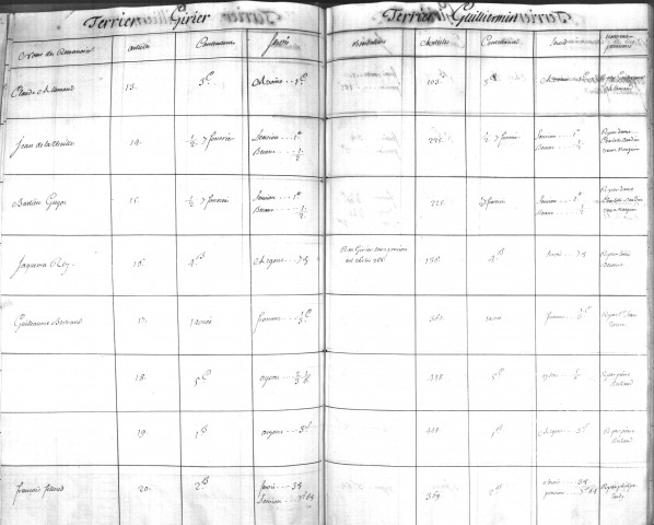 Parangon du terrier Guillermin de 1745, comparé au terrier Girier.