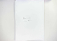 27 mars 1919-8 janvier 1923