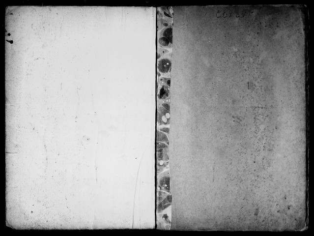 Délibérations de la société des droits de l'homme siégeant dans l'église de l'hôpital de Saint-Etienne (18 juin-13 septembre 1793).