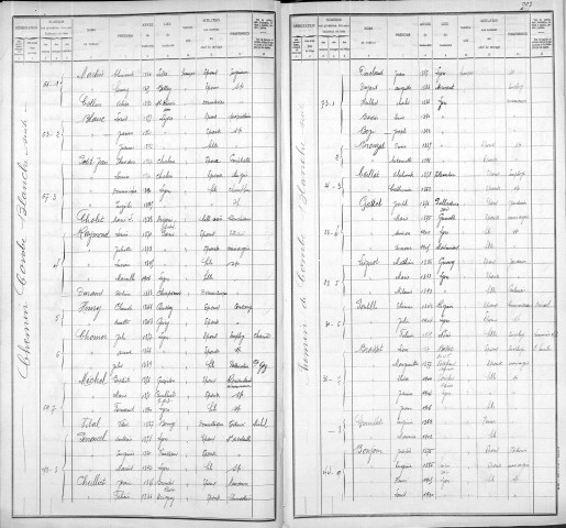 COMBE-BLANCHE (CHEMIN DE LA)