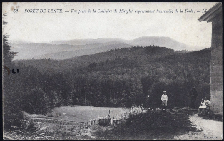 Vue prise de la clairière du Miroflet représentant l'ensemble de la forêt.