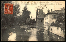 Saint-Georges-de-Reneins. Château de Marzet. Elevage des canards.