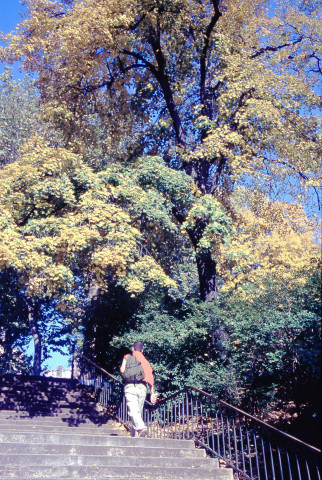 Escaliers (juillet 1999-octobre 2005).