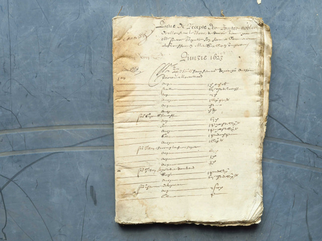 Liève de recette des rentes nobles de Monsieur le baron de Riverie tenue par Maître Pierre Begulle, son fermier.