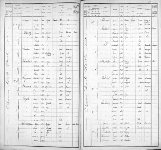 COMBE-BLANCHE (CHEMIN DE LA)