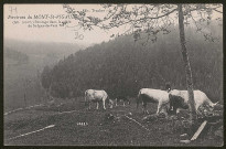 Environs du Mont Saint-Rigaud. Pâturages de la vallée de Saint-Igny-de-Vers.