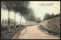 Saint-Georges-de-Reneins. Promenade des Godiches.