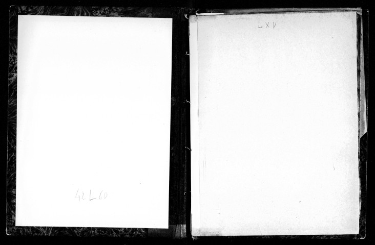 « Registre de tous les dénonciateurs contre la municipalité, avec leurs noms, prénoms, professions et le numéro de leur demeure, y compris aussi tous les patriotes incarcérés ».