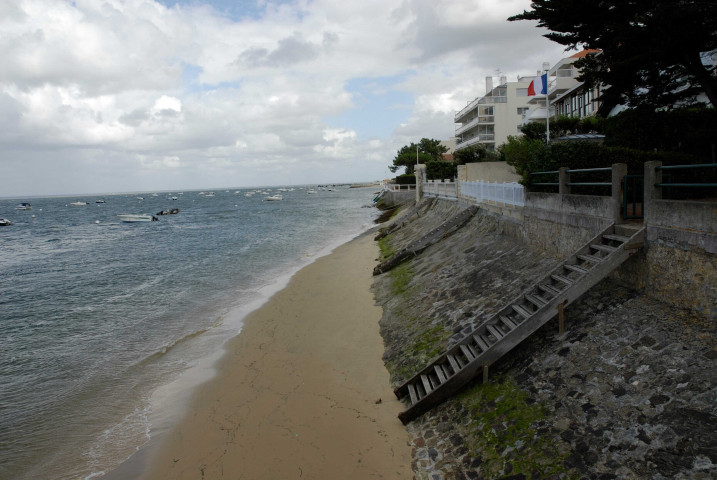 Images numériques (juin 1993, juillet 2007).