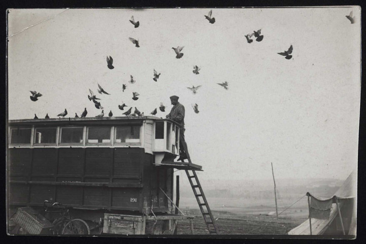 Pigeonniers de campagne.