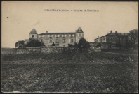 Chasselay. Château de Montluzin.