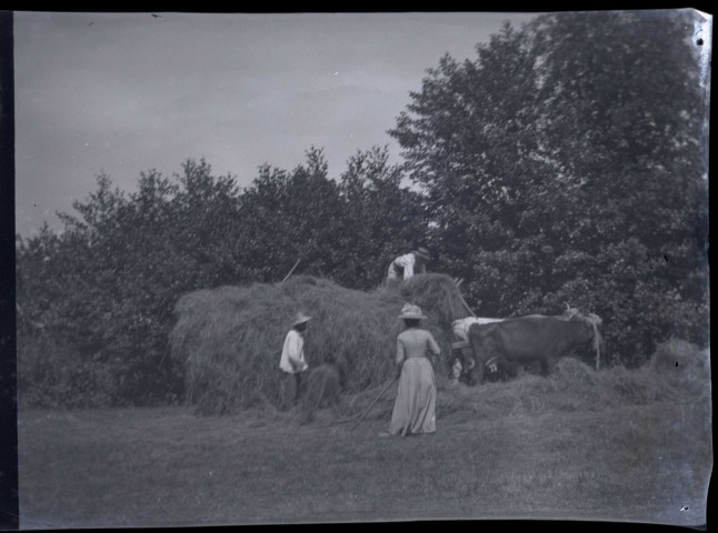 Scènes champêtres.