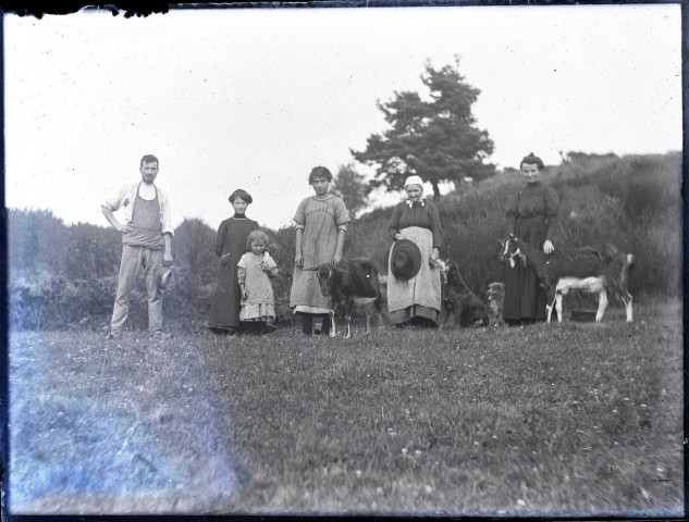 Chèvres et moutons.