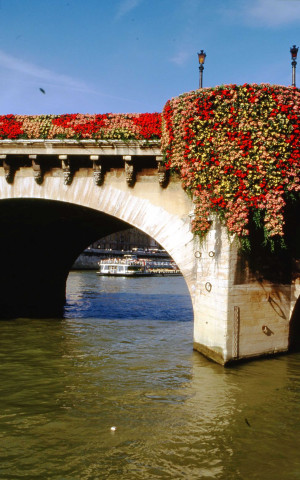 La Seine, les ponts et quais.