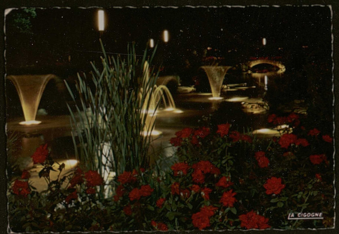 Lyon. La roseraie de nuit.