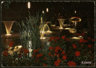 Lyon. La roseraie de nuit.