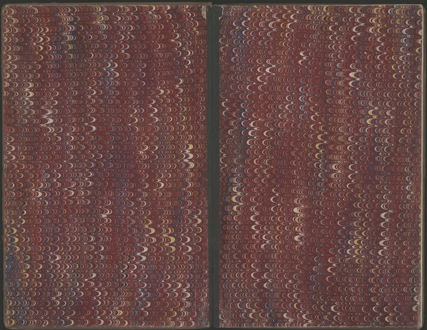 Vignes du Beaujolais (10 avril 1877).