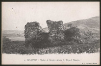 Beaujeu. Ruines de l'ancien château des Sires de Beaujeu.
