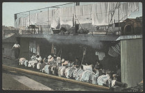 Lyon. Un bateau-lavoir sur le Rhône.