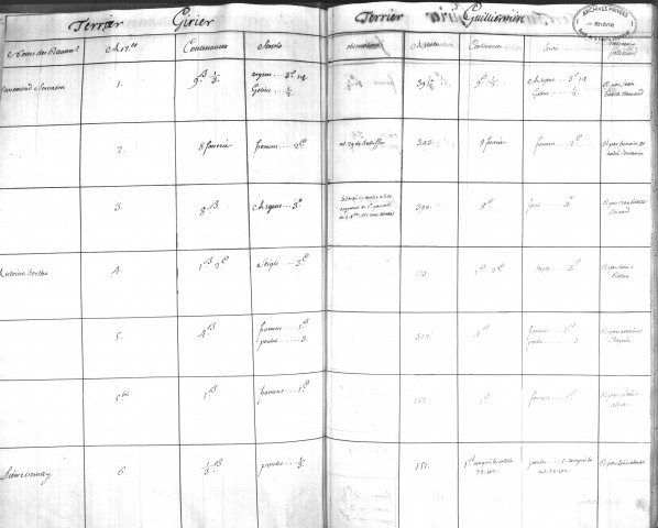 Parangon du terrier Guillermin de 1745, comparé au terrier Girier.