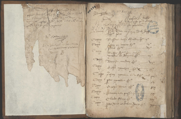 Terriers et lièves.