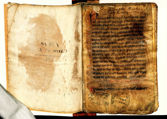 Terrier H. Charavilli à Saint-Didier-au-Mont-d'Or.